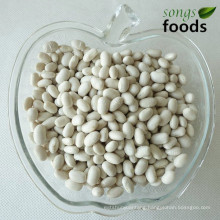 Specification of Wholesale Japanese Type White Kidney Beans